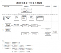 邓州市国库集中支付业务流程图